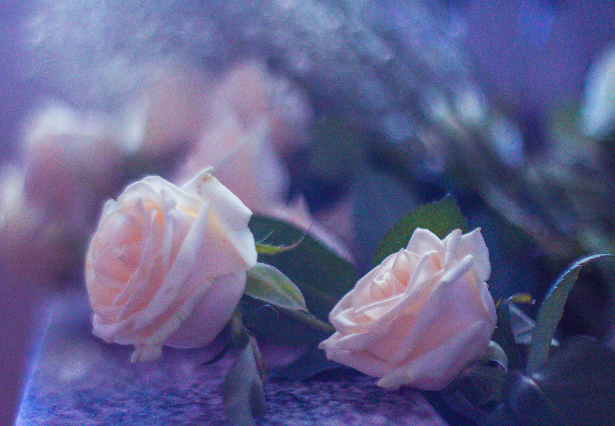 20140308 Casamiento 953 IMG 4228